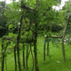 Image for article titled This designer doesn’t make chairs. He grows them—from trees